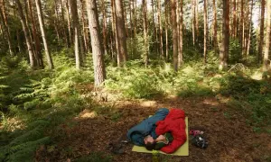 Zwei Menschen schlafen im Wald in Schlafsäcken. Ob ist biwakieren in Deutschland erlaubt, hängt von den Regeln ab.