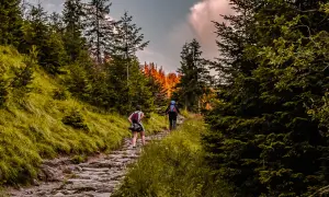 Zwei Wanderer genießen eine malerische Tour im Odenwald. Der steinige Pfad schlängelt sich durch üppige grüne Wälder, während die Sonne durch die Bäume bricht.