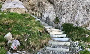 Treppen führen steil einen felsigen Hang hinauf, ideal für eine anspruchsvolle **Hochvogel Wanderung**. Gras und kleine Blumen säumen den Weg.
