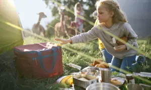 Mädchen greift nach Kühlbox, Teil der Packliste Zelten mit Kindern. Im Hintergrund grasen Lamas.