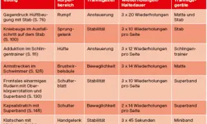Tabelle mit Übungen für das Training, z.B. Kniebeugen, Armstrecken, Rudern. Ideal für das Klettern.