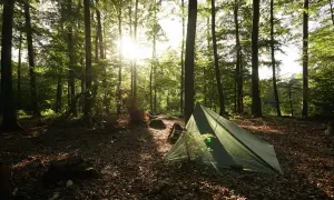 Ein grünes Zelt steht im sonnendurchfluteten Wald. Die Frage "darf man im Wald zelten?" wird hier mit einer friedlichen Szene beantwortet.