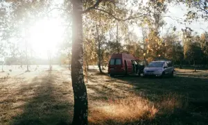 Sonnenaufgang im Herbstwald. Zwei Campervans stehen auf einer Wiese. Warum ist wildcampen verboten? Wegen des Schutzes der Natur.