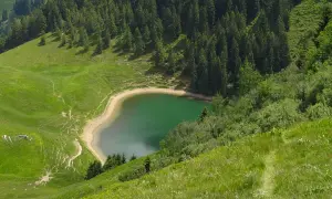 Grüner Bergsee in Bayern, ein versteckter Ort für Wanderer. Ein Pfad schlängelt sich durch saftige Wiesen und Nadelwälder.