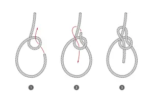Schritt-für-Schritt-Anleitung zum Binden eines Augknotens. Das Seil wird in drei Phasen gezeigt, wie es zu einem sicheren Auge geformt wird.