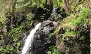Ein versteckter Wasserfall im Schwarzwald, ein echter Geheimtipp zum Wandern. Üppige Vegetation umgibt die Felsen.