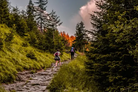 Zwei Wanderer genießen eine malerische Tour im Odenwald. Der steinige Pfad schlängelt sich durch üppige grüne Wälder, während die Sonne durch die Bäume bricht.