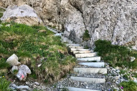 Treppen führen steil einen felsigen Hang hinauf, ideal für eine anspruchsvolle **Hochvogel Wanderung**. Gras und kleine Blumen säumen den Weg.