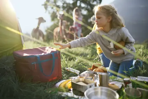 Mädchen greift nach Kühlbox, Teil der Packliste Zelten mit Kindern. Im Hintergrund grasen Lamas.