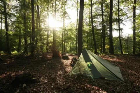 Ein grünes Zelt steht im sonnendurchfluteten Wald. Die Frage "darf man im Wald zelten?" wird hier mit einer friedlichen Szene beantwortet.