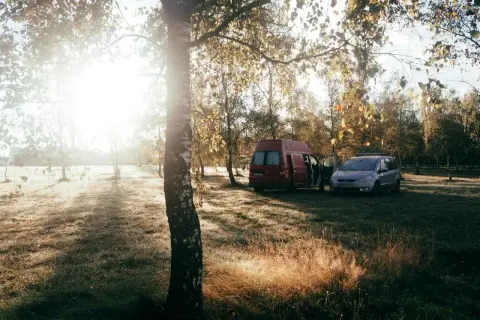Sonnenaufgang im Herbstwald. Zwei Campervans stehen auf einer Wiese. Warum ist wildcampen verboten? Wegen des Schutzes der Natur.