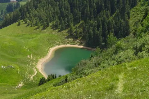 Grüner Bergsee in Bayern, ein versteckter Ort für Wanderer. Ein Pfad schlängelt sich durch saftige Wiesen und Nadelwälder.