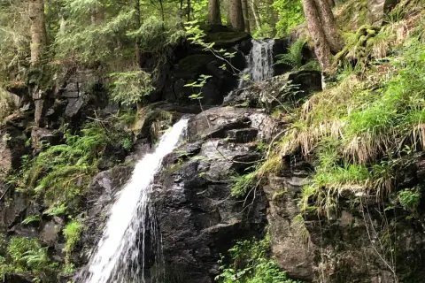 Ein versteckter Wasserfall im Schwarzwald, ein echter Geheimtipp zum Wandern. Üppige Vegetation umgibt die Felsen.