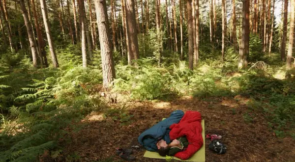 Zwei Menschen schlafen im Wald in Schlafsäcken. Ob ist biwakieren in Deutschland erlaubt, hängt von den Regeln ab.