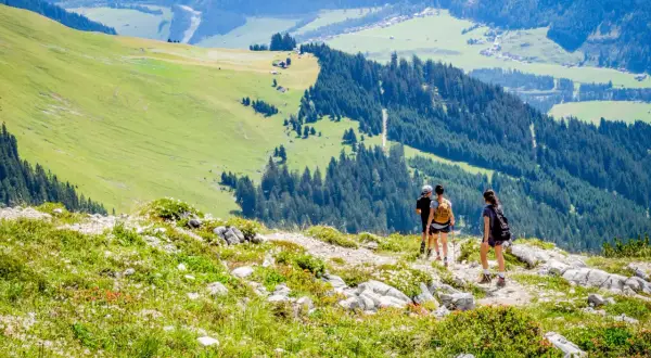 Wanderer entdecken auf einem Bergpfad im Lechtal versteckte Schönheiten. Ein perfekter Ort für Geheimtipps.
