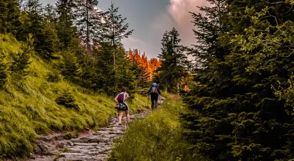 Zwei Wanderer genießen eine malerische Tour im Odenwald. Der steinige Pfad schlängelt sich durch üppige grüne Wälder, während die Sonne durch die Bäume bricht.