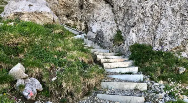 Treppen führen steil einen felsigen Hang hinauf, ideal für eine anspruchsvolle **Hochvogel Wanderung**. Gras und kleine Blumen säumen den Weg.