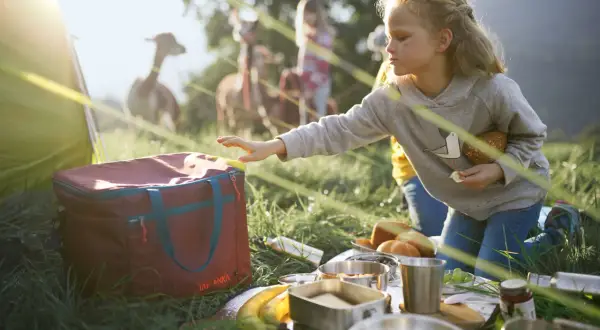 Mädchen greift nach Kühlbox, Teil der Packliste Zelten mit Kindern. Im Hintergrund grasen Lamas.