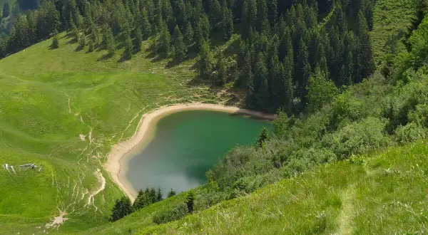 Grüner Bergsee in Bayern, ein versteckter Ort für Wanderer. Ein Pfad schlängelt sich durch saftige Wiesen und Nadelwälder.