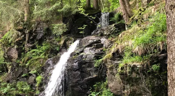 Ein versteckter Wasserfall im Schwarzwald, ein echter Geheimtipp zum Wandern. Üppige Vegetation umgibt die Felsen.