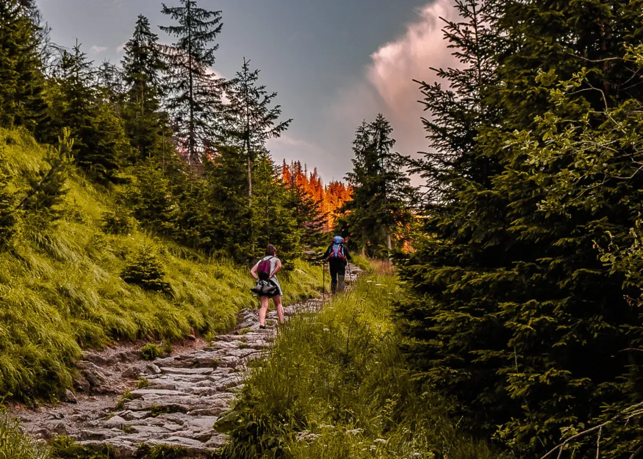 Zwei Wanderer genießen eine malerische Tour im Odenwald. Der steinige Pfad schlängelt sich durch üppige grüne Wälder, während die Sonne durch die Bäume bricht.