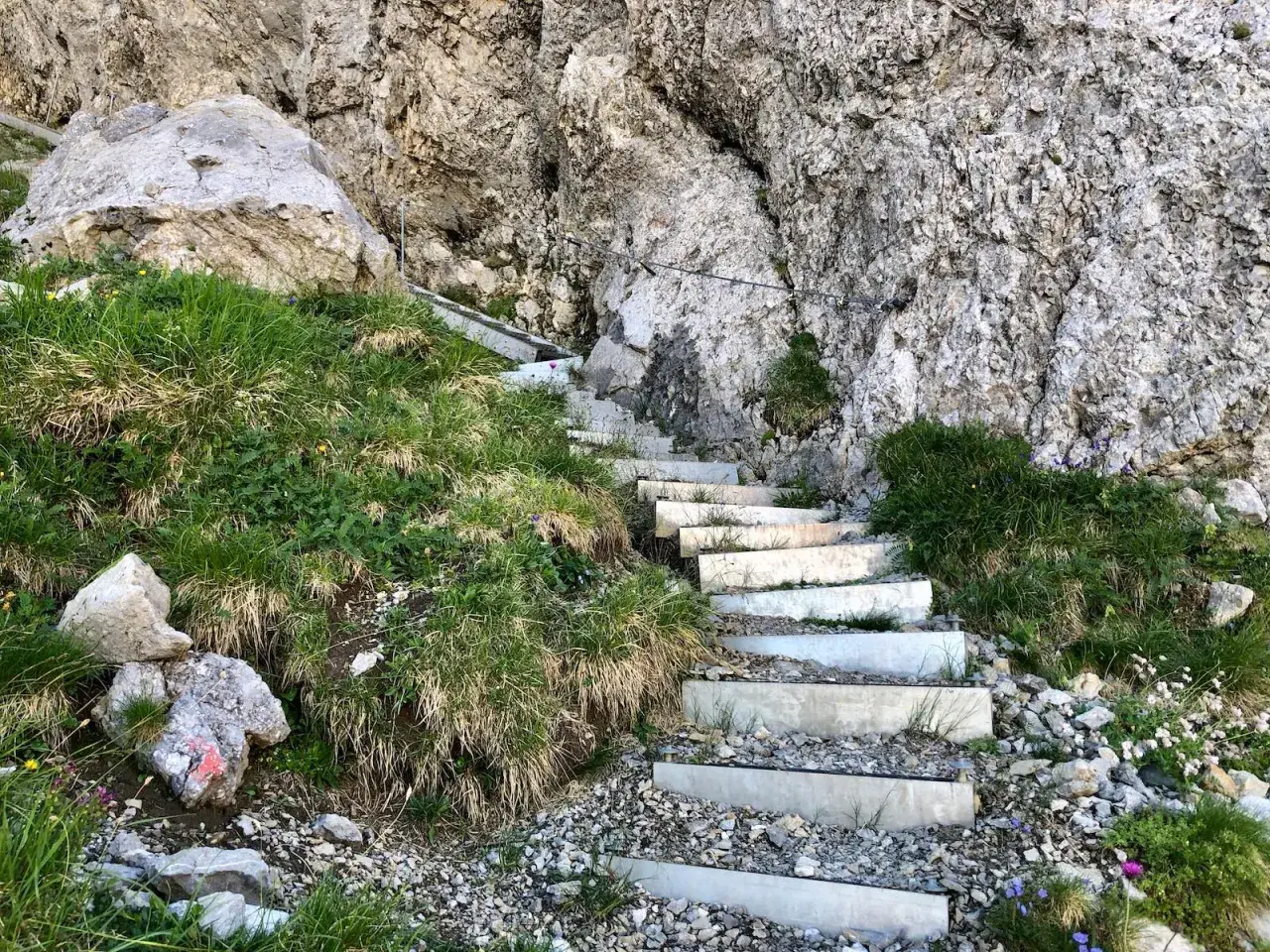Treppen führen steil einen felsigen Hang hinauf, ideal für eine anspruchsvolle **Hochvogel Wanderung**. Gras und kleine Blumen säumen den Weg.