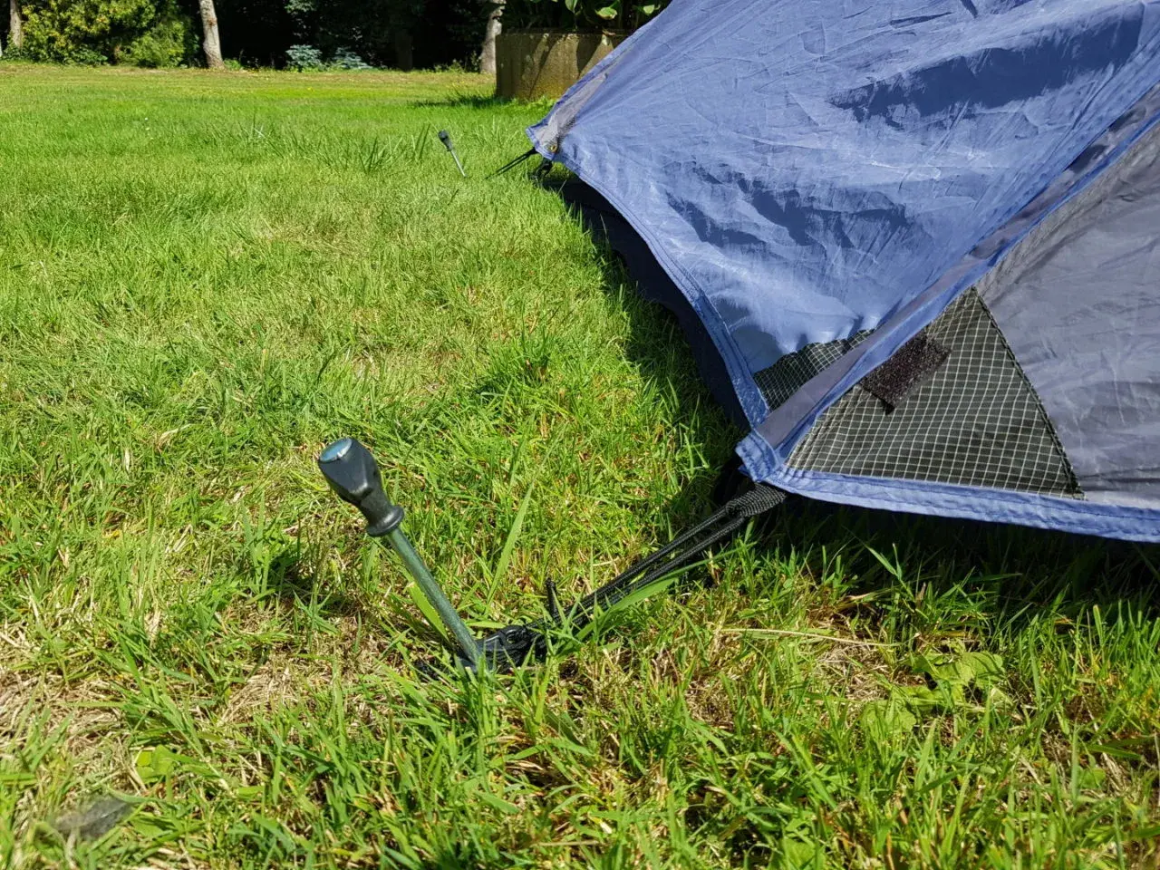 Ein Zelt wird mit Heringen im Gras abgespannt. Ein Hering ragt aus dem Boden, um das Zelt zu sichern.