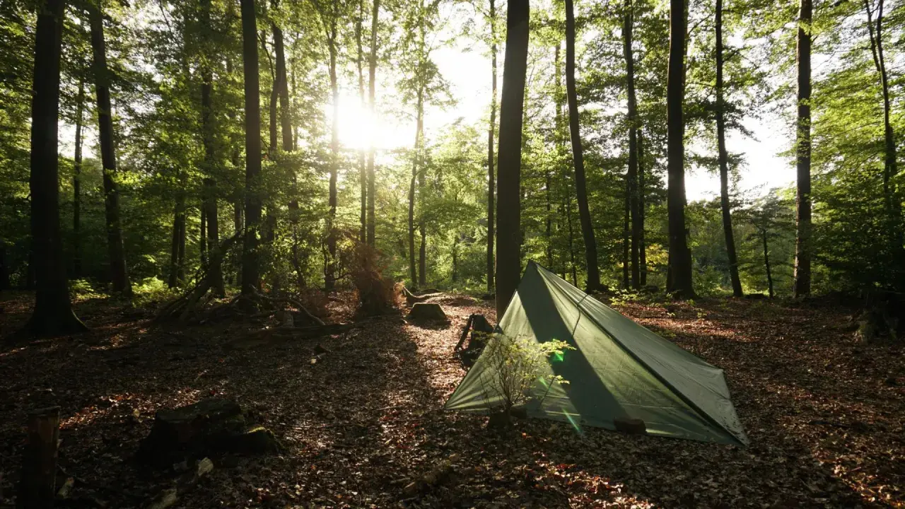 Ein grünes Zelt steht im sonnendurchfluteten Wald. Die Frage "darf man im Wald zelten?" wird hier mit einer friedlichen Szene beantwortet.