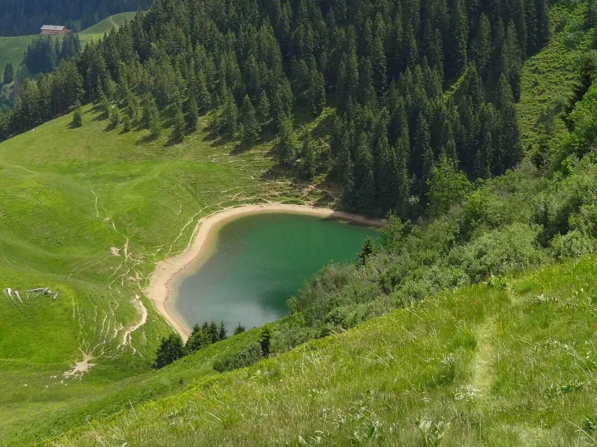 Grüner Bergsee in Bayern, ein versteckter Ort für Wanderer. Ein Pfad schlängelt sich durch saftige Wiesen und Nadelwälder.