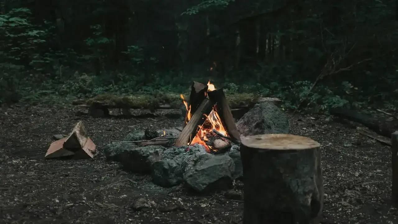 Ein Lagerfeuer brennt im Wald. Holzscheite sind aufgeschichtet, um den Feuerstahl benutzen zu können. Ein Baumstumpf dient als Sitzgelegenheit.