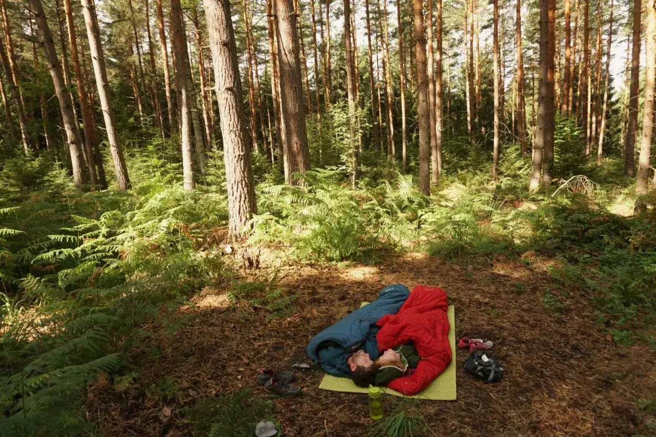 Zwei Menschen schlafen im Wald in Schlafsäcken. Ob ist biwakieren in Deutschland erlaubt, hängt von den lokalen Regeln ab.