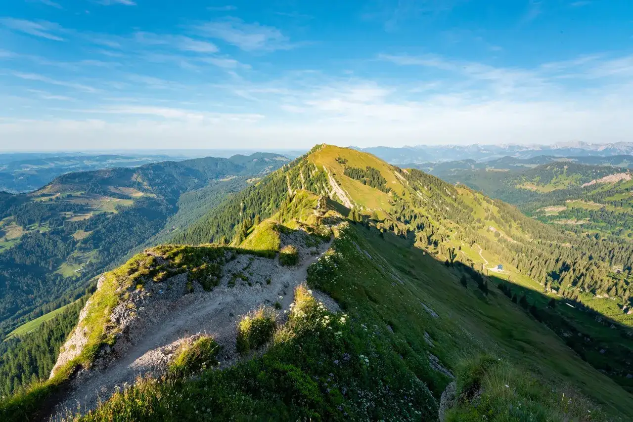 Ein sonniger Weg f&uuml;hrt &uuml;ber gr&uuml;ne H&uuml;gel der Nagelfluhkette. Eine leichte Wanderung mit atemberaubender Aussicht.