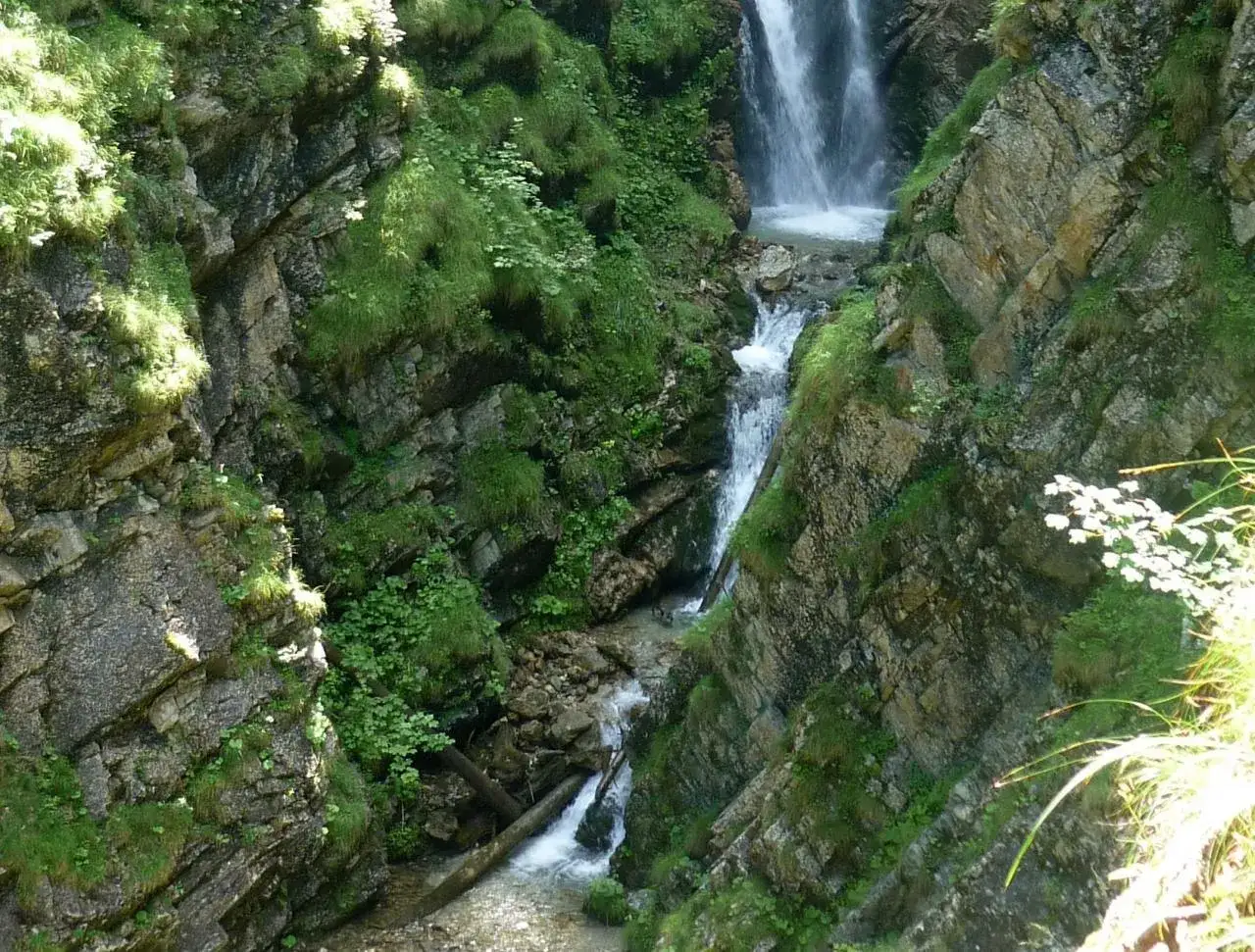 Tosende Wasserfälle stürzen durch die felsige Reichenbachklamm bei Pfronten, umgeben von üppigem Grün und schroffen Felswänden.