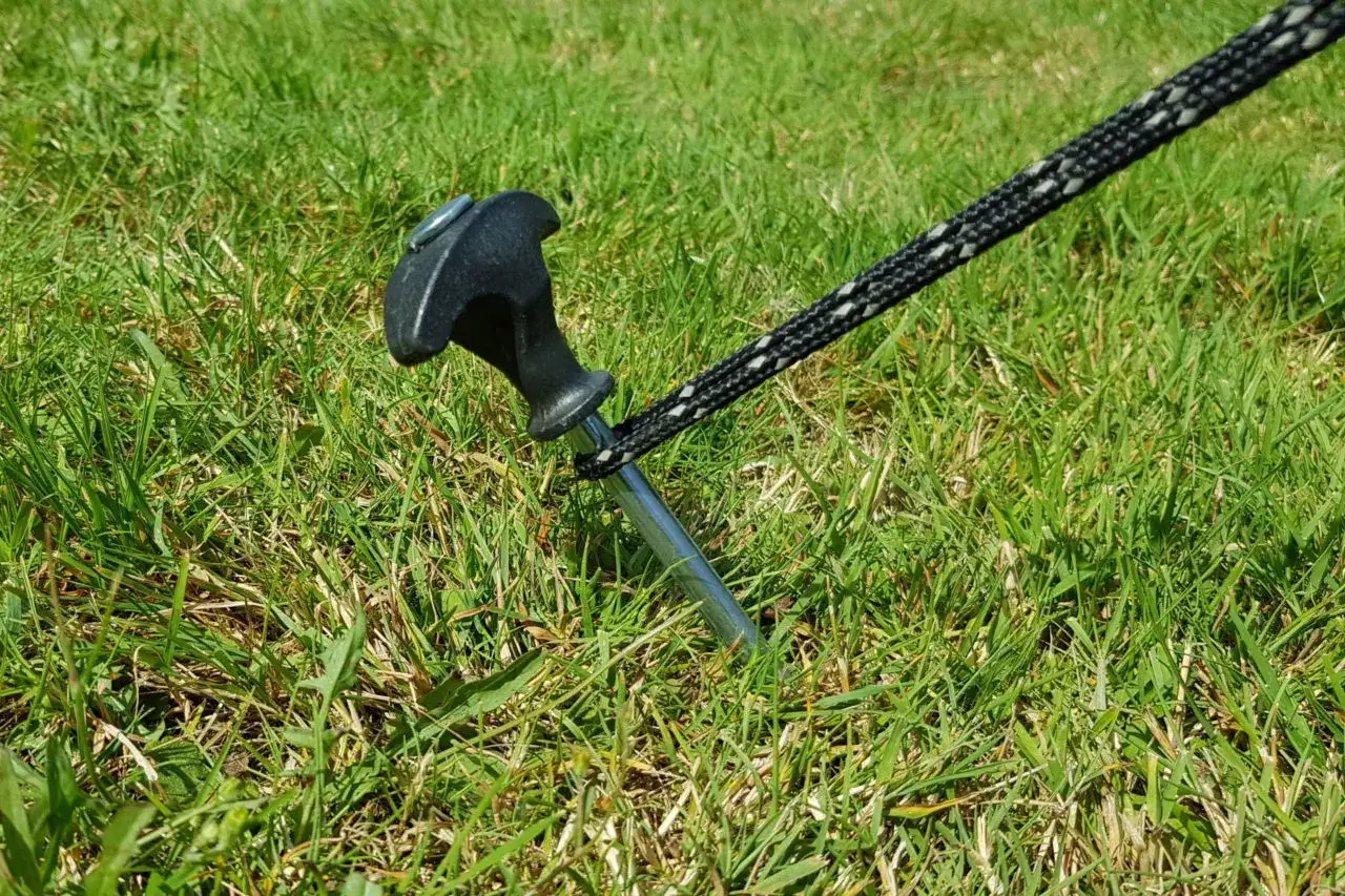 Ein Hering hält die Schnur fest, um das Zelt abspannen. Gras und Sonnenschein.
