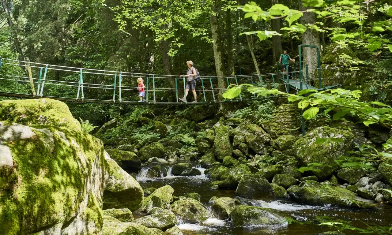 Familie überquert Hängebrücke in einem moosbewachsenen Wald. Ein echter Geheimtipp zum Wandern in Bayern!